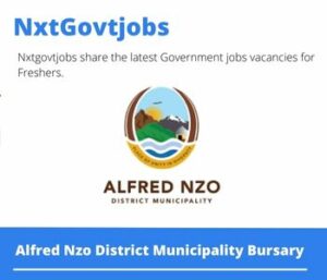 Alfred Nzo District Municipality Bursary