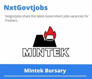 Mintek Bursary