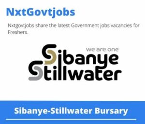 Sibanye-Stillwater Bursary